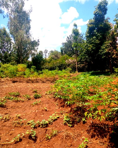 Half Acre Garden Plot with Parking - KSh 27M