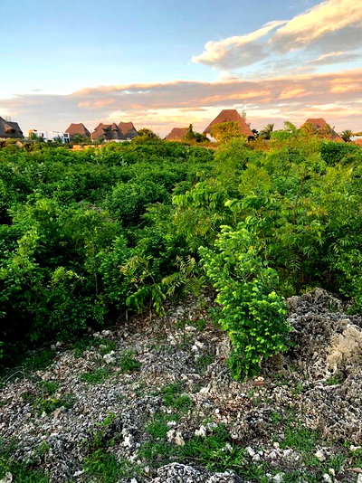 An Acre Piece of Land in Watamu - Image 2