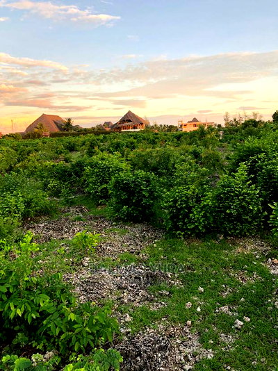 An Acre Piece of Land in Watamu - Image 4
