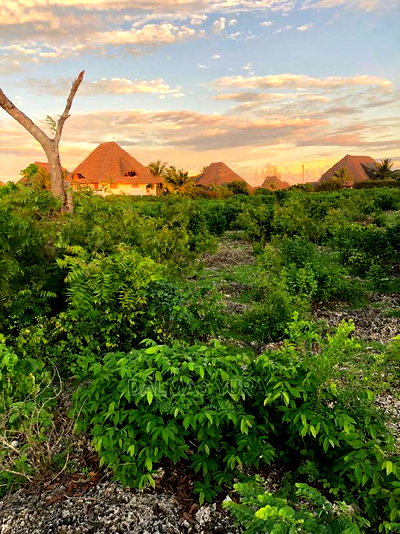 An Acre Piece of Land in Watamu - Image 5