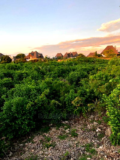 An Acre Piece of Land in Watamu - Image 3
