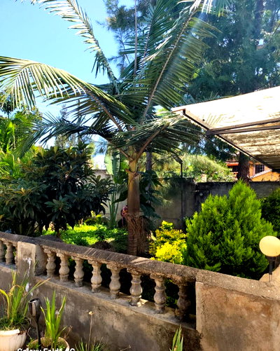 3BR Garden Home at KSh 35K