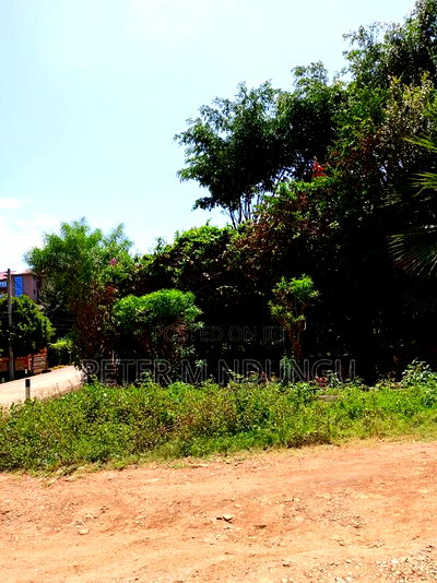 Commercial Plot 1/2 Acre Near Mountain Mall - Image 5