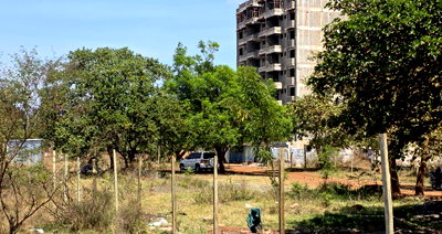 Half Acre Commercial Plot with Garden