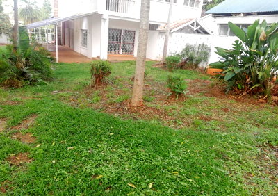 1.1-Acre Lavington Gem with Garden