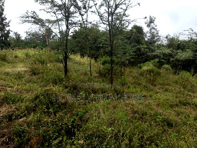 Eighth Acre Plot in Rimpa, Ongata Rongai, Kandisi Area - Image 4
