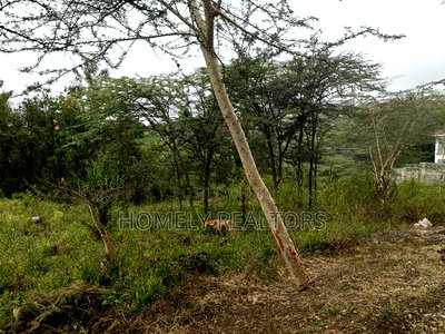 Eighth Acre Plot in Rimpa, Ongata Rongai, Kandisi Area - Image 3