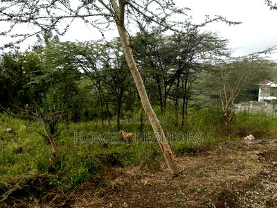 Eighth Acre Plot in Rimpa, Ongata Rongai, Kandisi Area - Image 2
