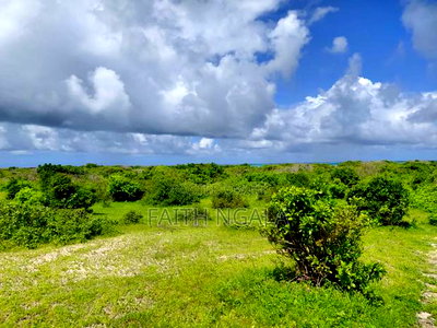 12 Acres in Watamu Subdivided 4 Acres a Block at 25m Per Acre - Image 4
