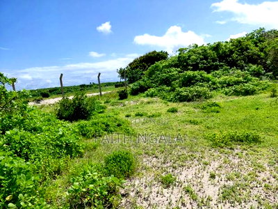 12 Acres in Watamu Subdivided 4 Acres a Block at 25m Per Acre - Image 2