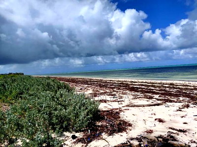12 Acres in Watamu Subdivided 4 Acres a Block at 25m Per Acre - Image 6