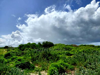 12 Acres in Watamu Subdivided 4 Acres a Block at 25m Per Acre - Image 7