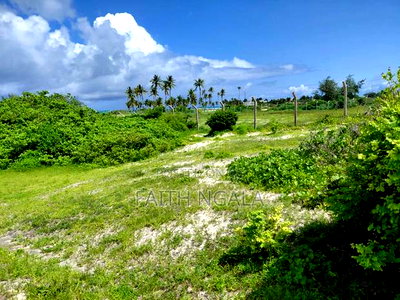 12 Acres in Watamu Subdivided 4 Acres a Block at 25m Per Acre - Image 3