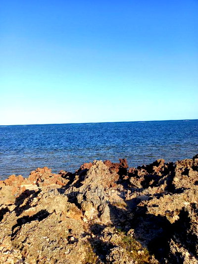 For Sale 22 Acres Beach Land Malindi. - Image 9