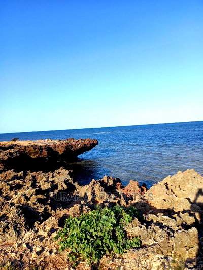 For Sale 22 Acres Beach Land Malindi. - Image 6