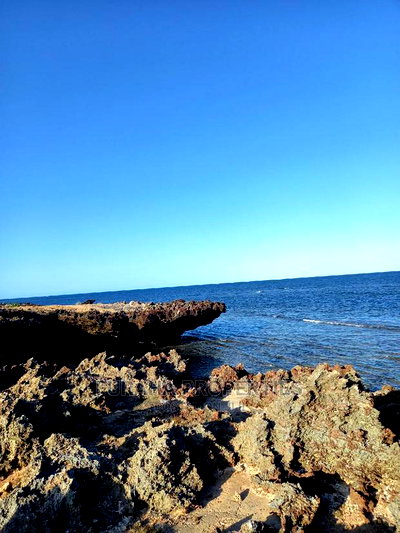 For Sale 22 Acres Beach Land Malindi. - Image 3