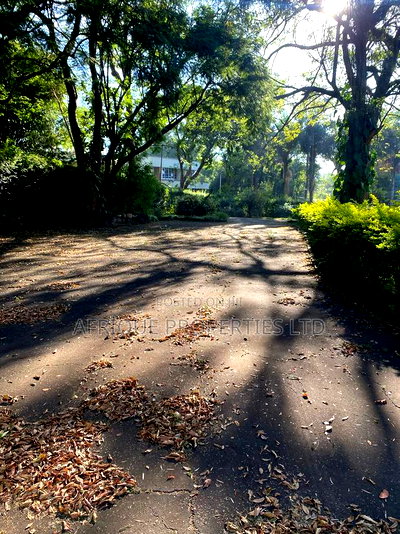 Muthaiga 4.3 Acres Land for Sale - Image 8