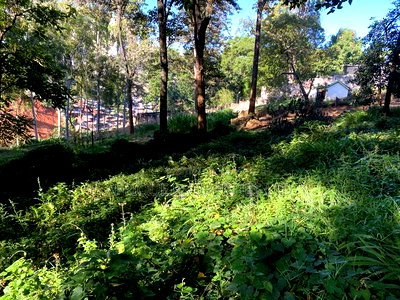 Muthaiga 4.3 Acres Land for Sale - Image 5