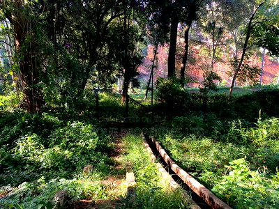 Muthaiga 4.3 Acres Land for Sale - Image 4