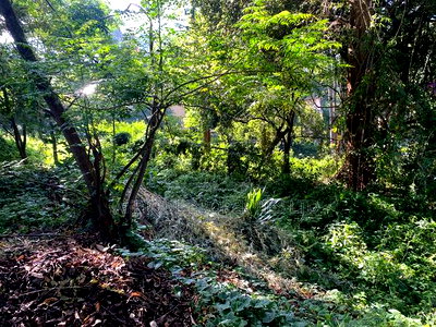 Muthaiga 4.3 Acres Land for Sale - Image 3