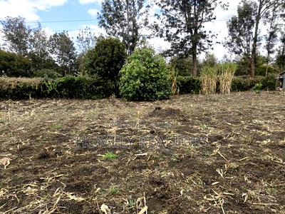 Residential Eighth Acre Plot in Ngong, Olkeri Near - Image 4