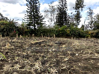 Residential Eighth Acre Plot in Ngong, Olkeri Near - Image 3