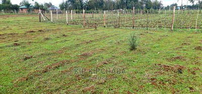 Prime Plot for Sale in Illula Eldoret - Image 10