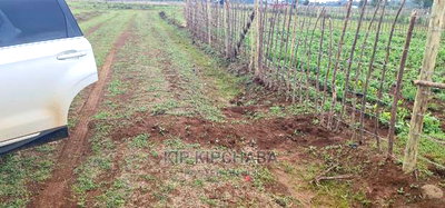 Prime Plot for Sale in Illula Eldoret - Image 8