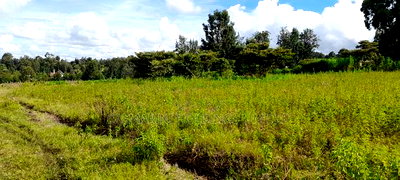 3 Prime Half Acre Plots 200 Metres Off Tarmac in Matasia - Image 1