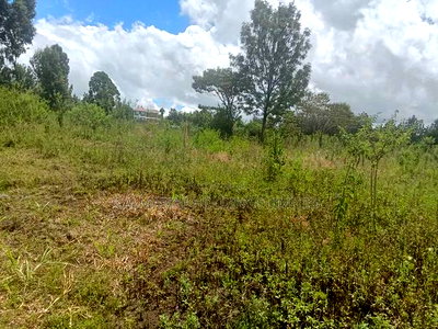 3 Prime Half Acre Plots 200 Metres Off Tarmac in Matasia - Image 2
