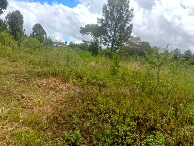 3 Prime Half Acre Plots 200 Metres Off Tarmac in Matasia - Image 3