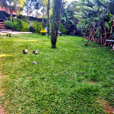 4bdrm House in Zambai, Ngong for sale - Image 10