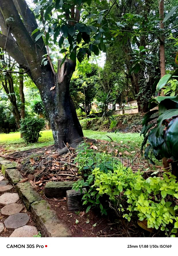 Plot for Sale