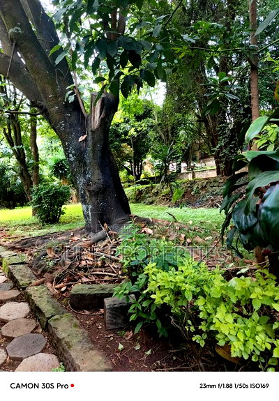 Plot for Sale - Image 1