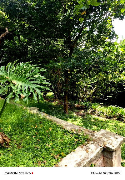 Plot for Sale - Image 8