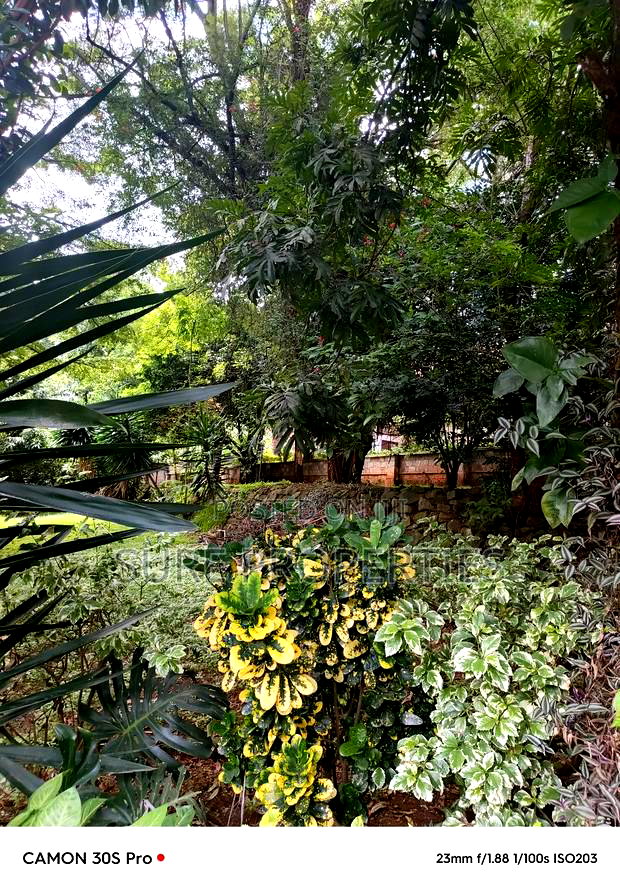 Plot for Sale