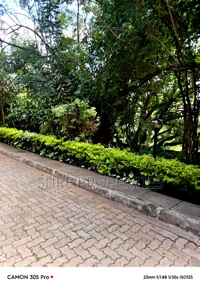 Plot for Sale - Image 4