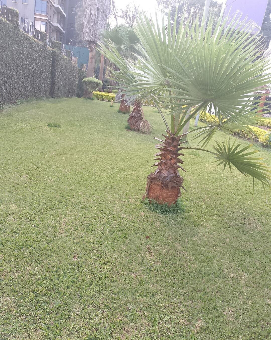 1.1 Acre Garden Plot in Westlands