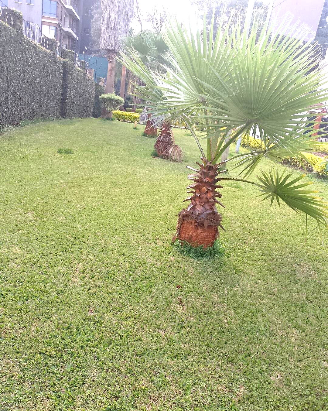 1.1 Acre Garden Plot in Westlands