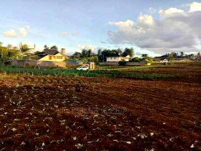Limuru Kabuku 50 by 100 Plots for Sale With Ready Title - Image 2