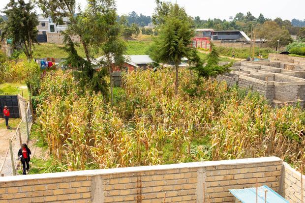 50 by 100ft Prime Residential Plot for Sale in Kikuyu, Kamangu.