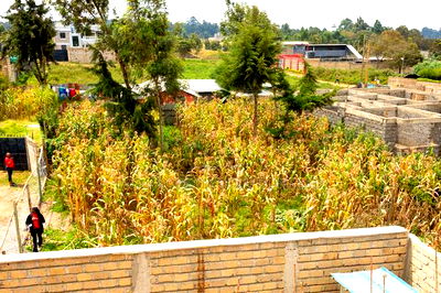 50 by 100ft Prime Residential Plot for Sale in Kikuyu, Kamangu. - Image 7