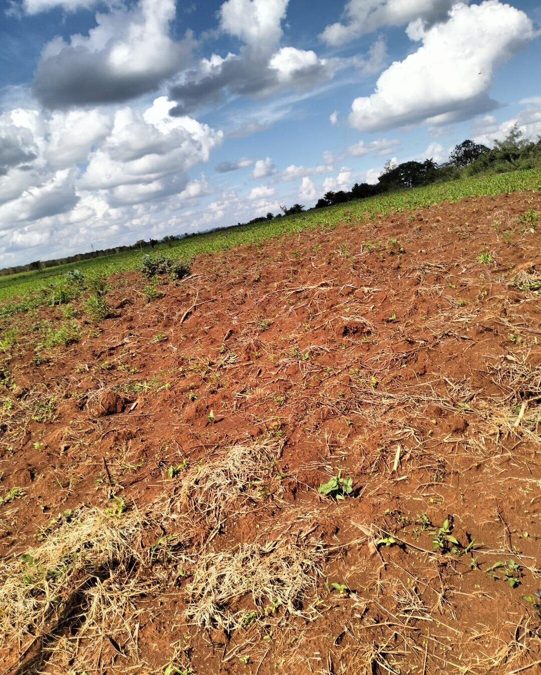 1-Acre Plot Near UN Office