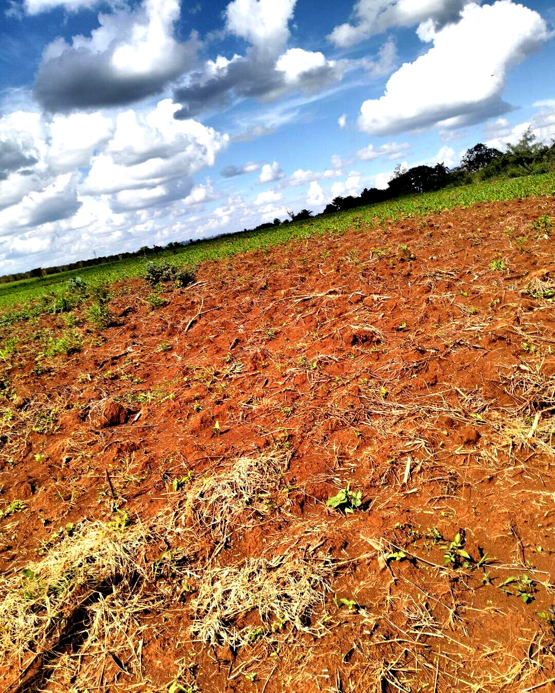 1-Acre Plot Near UN Office
