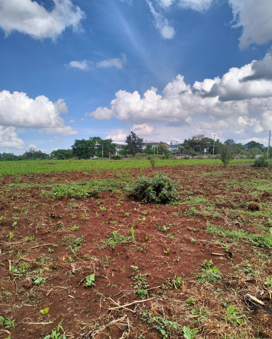 1-Acre Plot Near UN Office