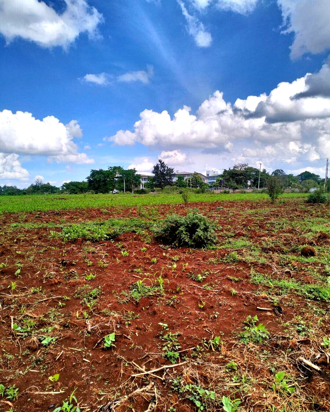 1-Acre Plot Near UN Office