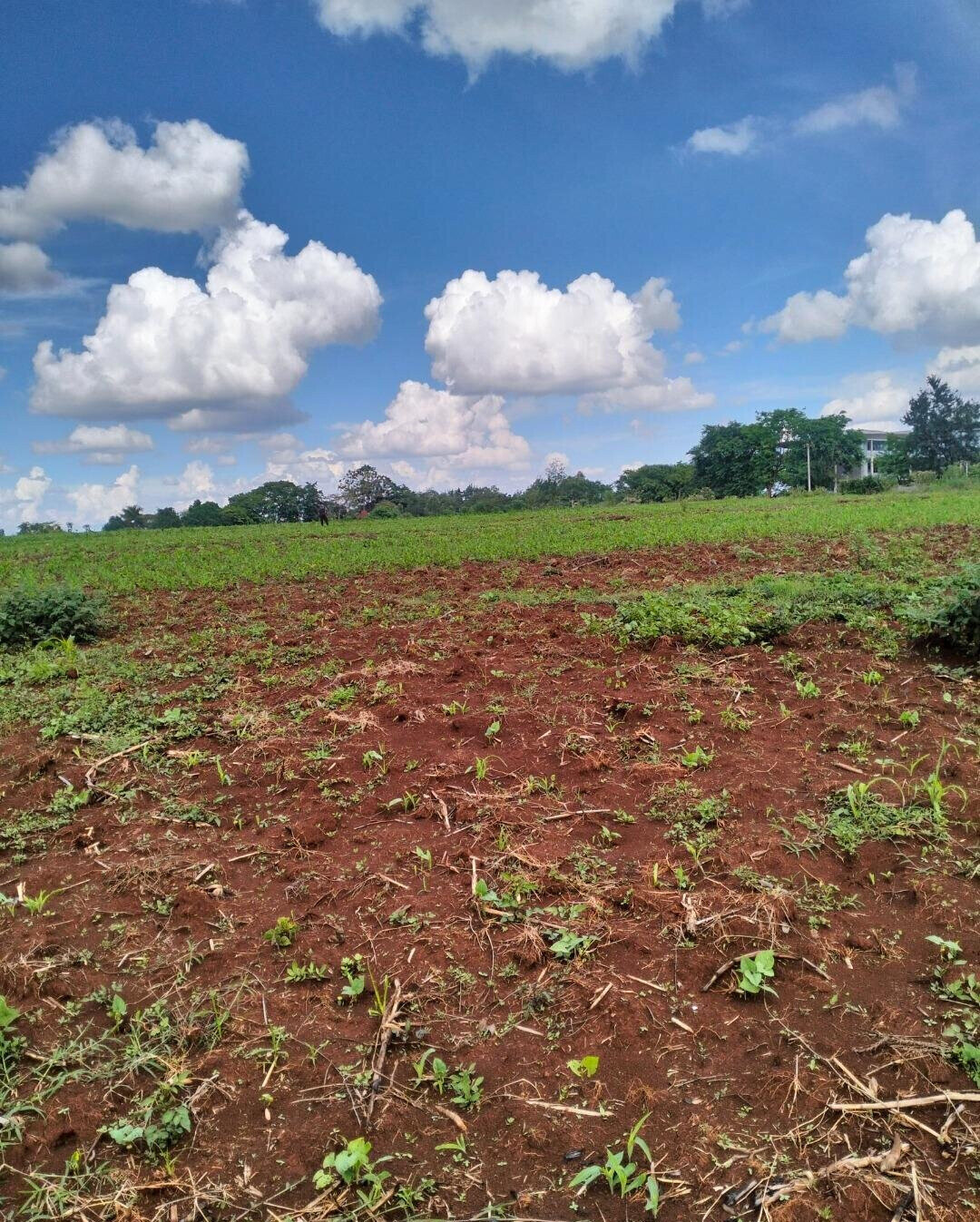 1-Acre Plot Near UN Office