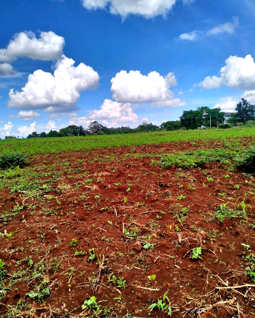 1-Acre Plot Near UN Office
