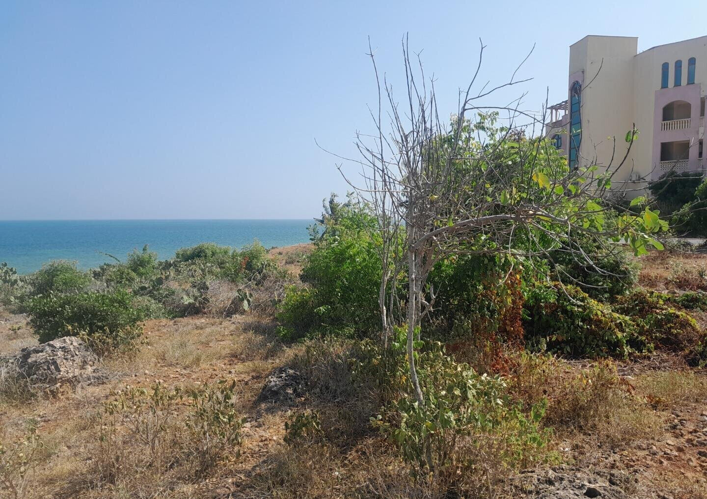 3.2-Acre Beachfront Property in Shanzu