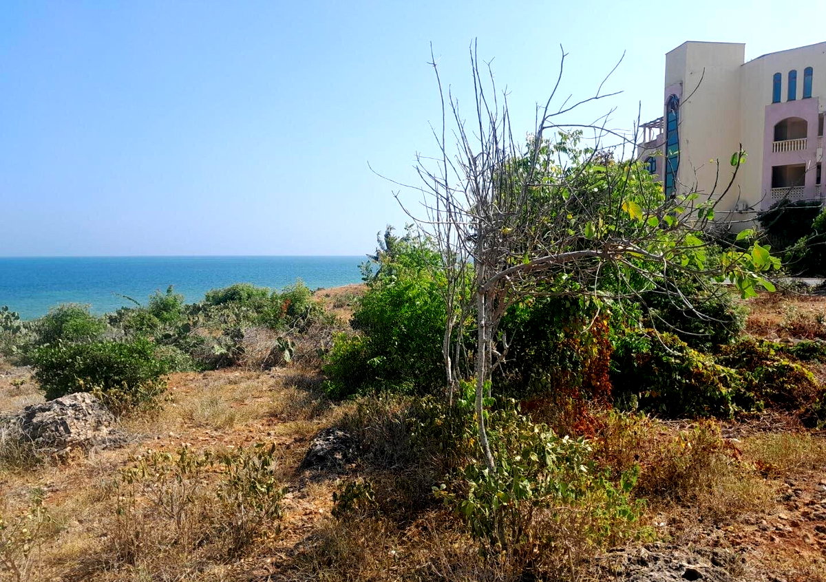 3.2-Acre Beachfront Property in Shanzu